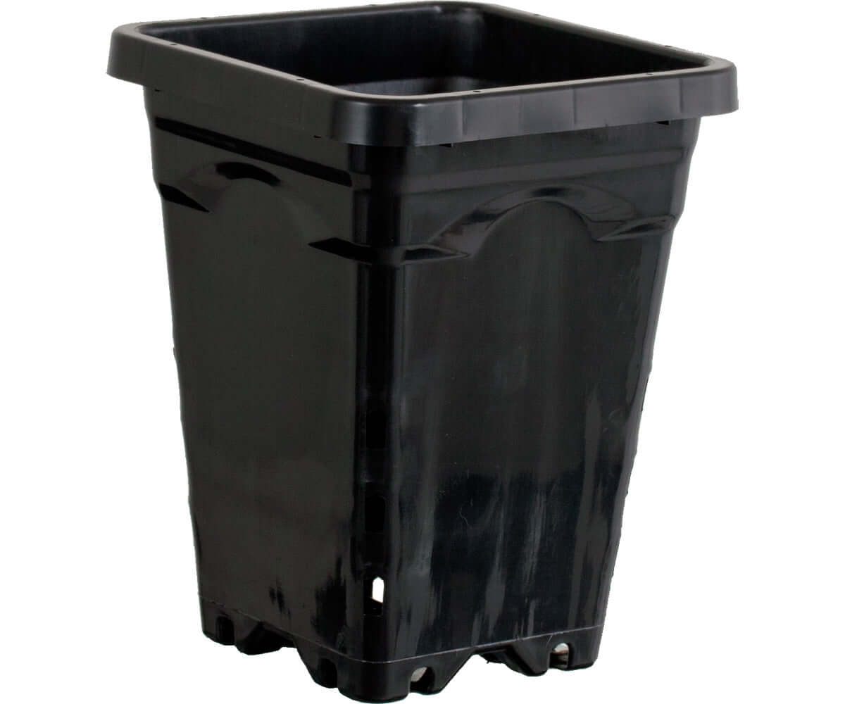 Active Aqua 5" x 5" Square Black Pot 7" Tall case of 100 product image 1
