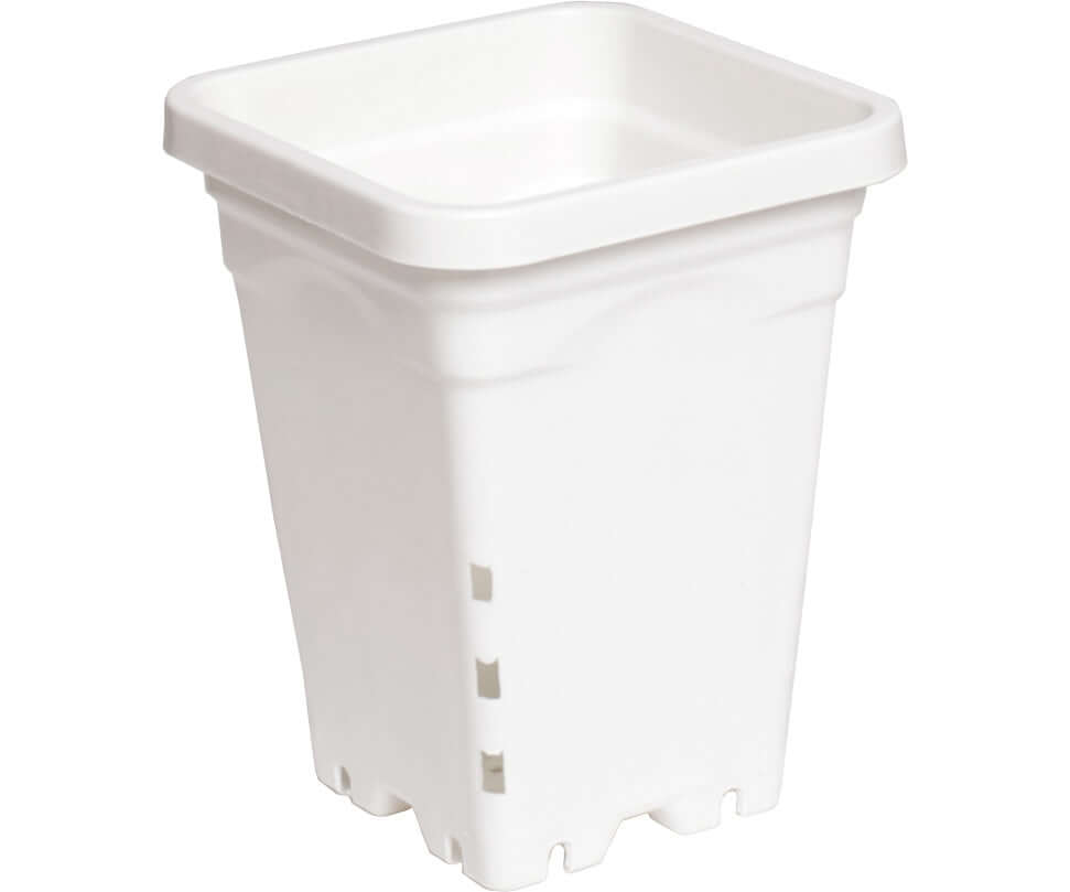 Active Aqua 5" x 5" Square White Pot 7" Tall case of 100 product image 1