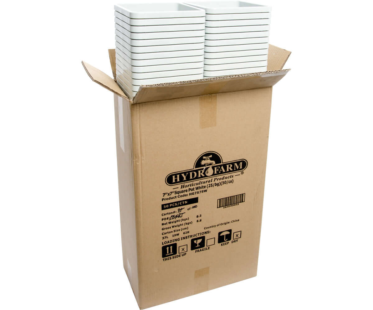 Active Aqua 7" x 7" Square White Pot 9" Tall case of 50 product image 2