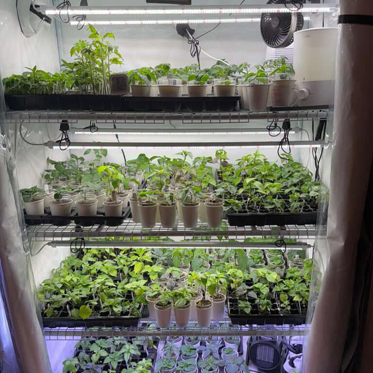 Active Grow Seeds & Starts 3-Tier Walden White LED Grow Tent Kit product image 3