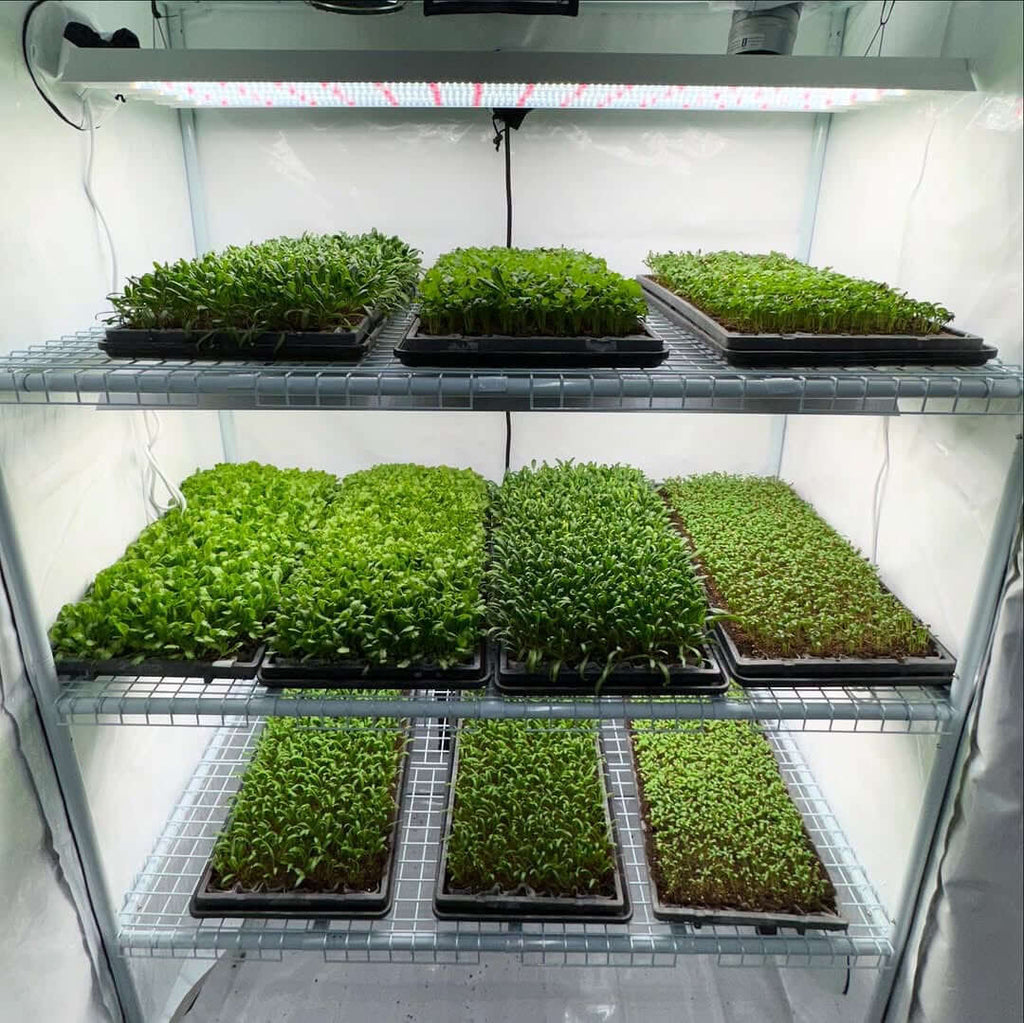 Active Grow T5 HO 2.0 4FT 4 Lamp LED Grow Light (216W Eqv.) - Sun product image 3