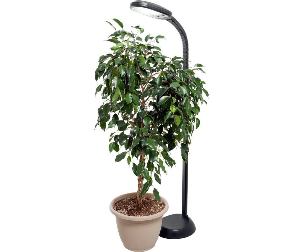 Agrobrite Standing CFL Plant Lamp 27W product image 3