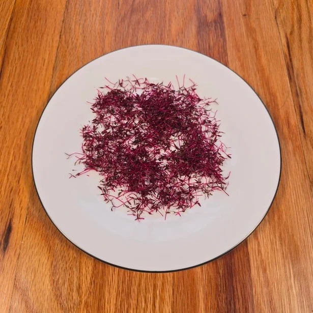 Aquager Technologies Amaranth (Garnet Red)