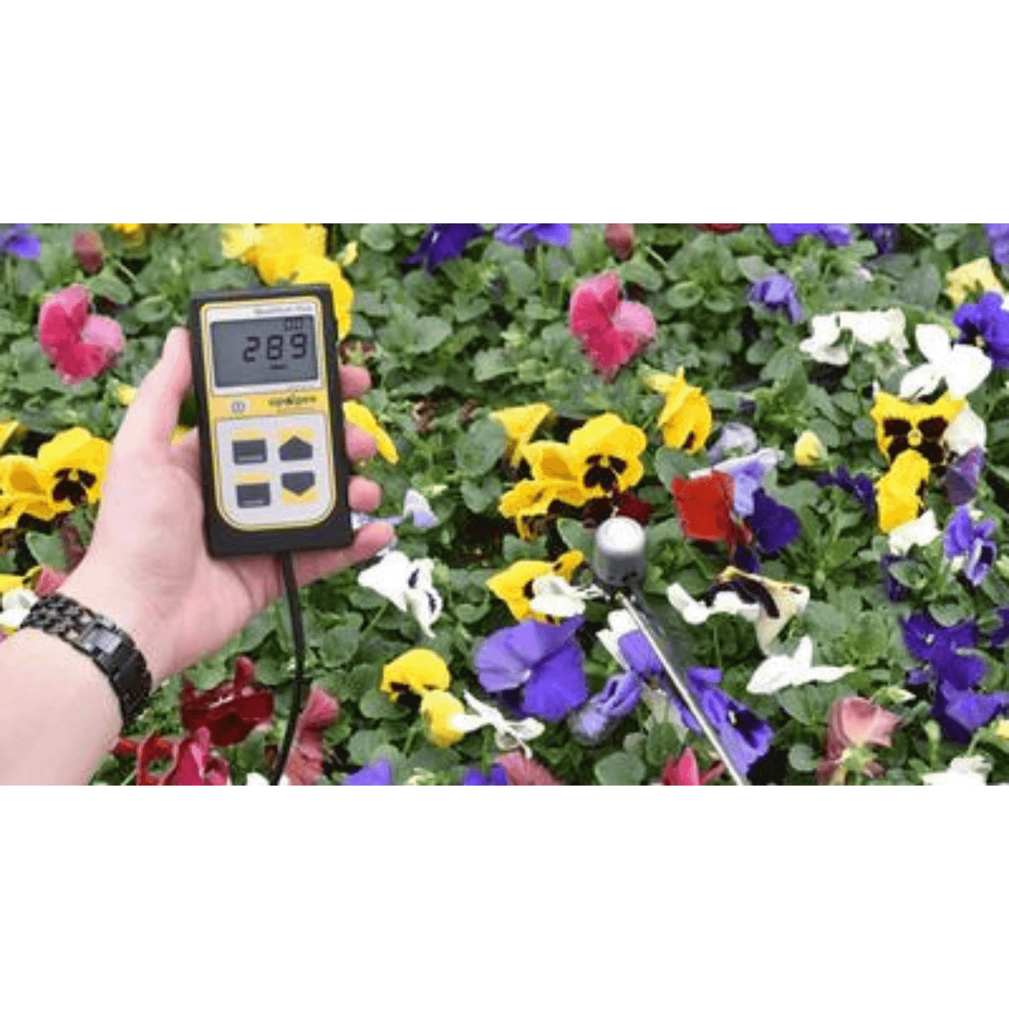 Apogee Instruments MQ-610 Extended PAR Meter measuring light among colorful flowers