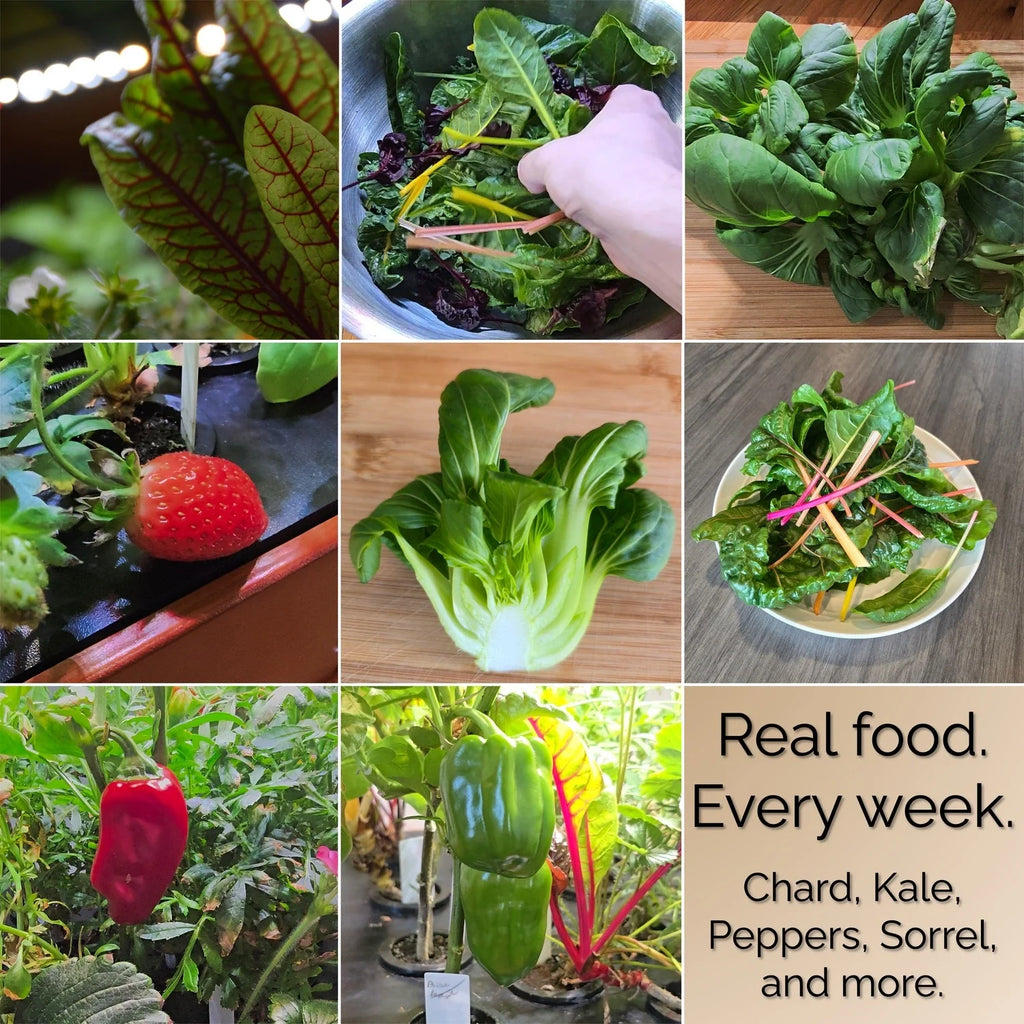 Aquager Technologies Hydroponic Home Farm