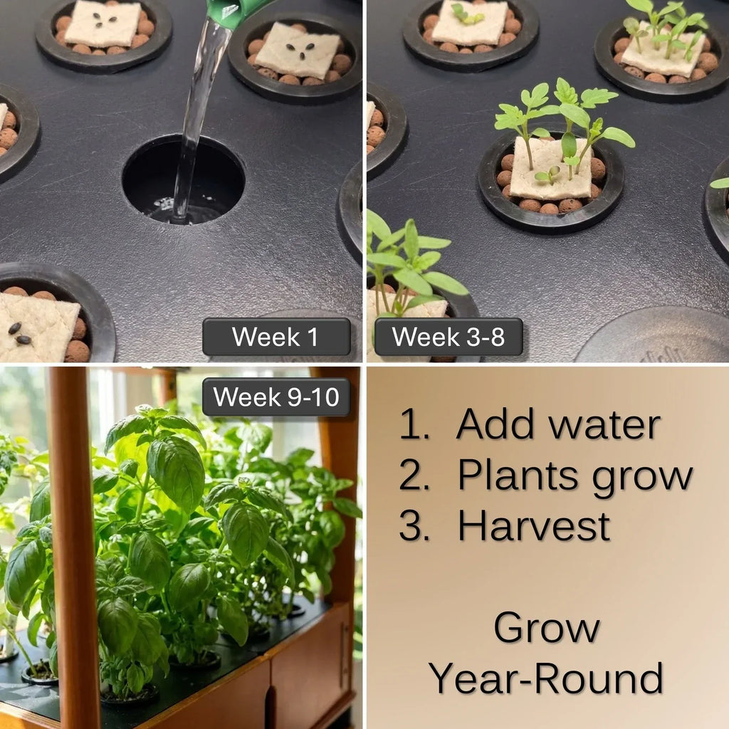 Aquager Technologies Spinach (Space) (4x)