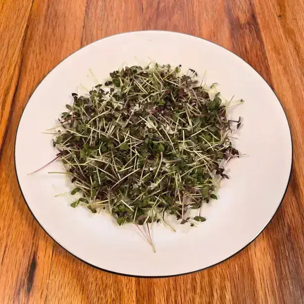 Aquager Technologies Basil (Bicolor) product image 2
