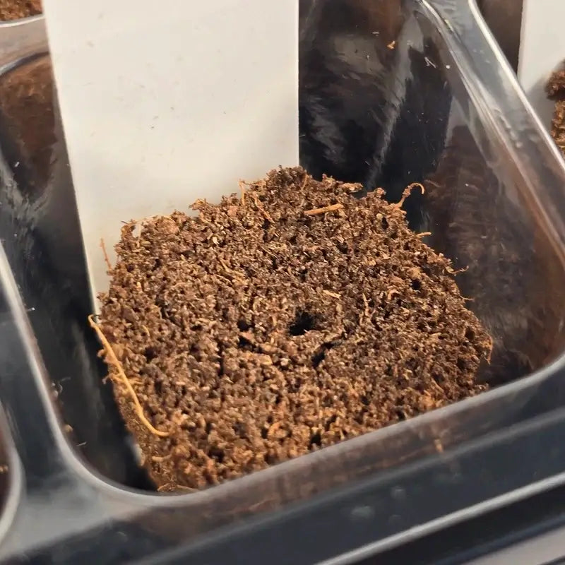 Aquager Technologies Grow Medium (Organic No Seeds 4x) product image 2
