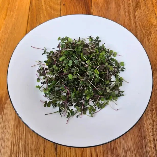 Aquager Technologies Kale (Kalefetti Mix) product image 2
