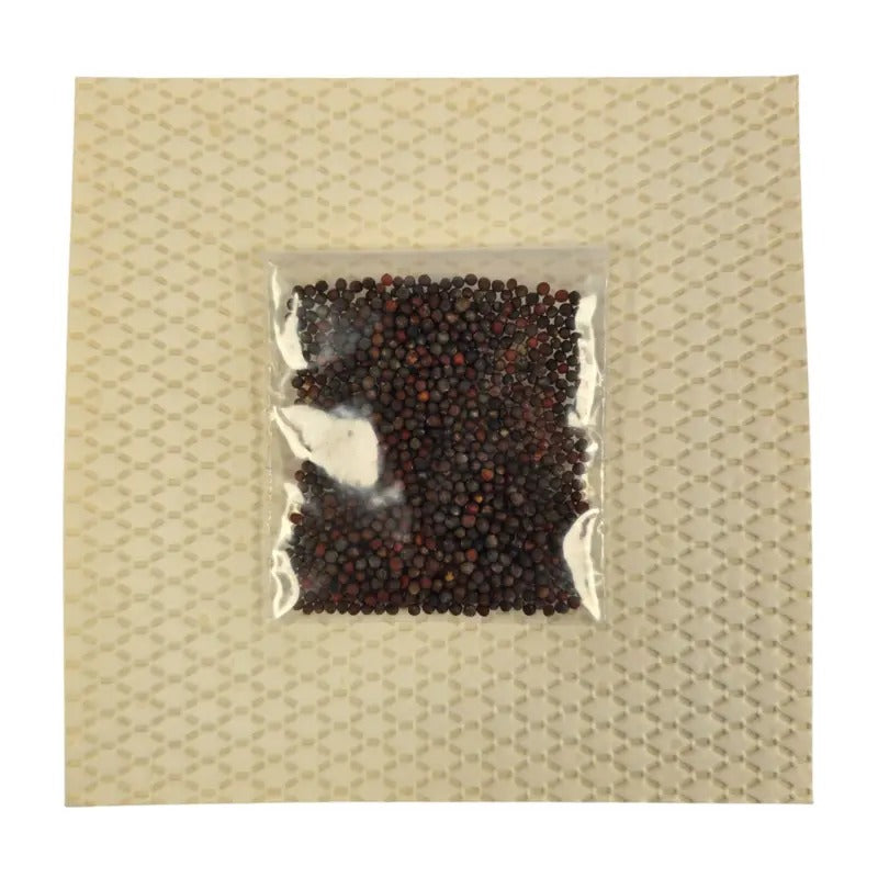 Aquager Technologies Microgreens Nursery product image 7