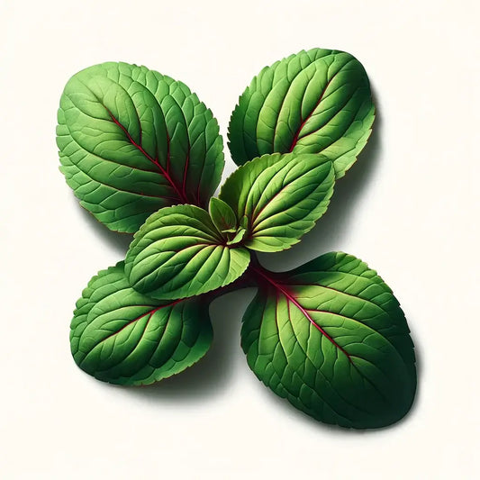 Aquager Technologies Sorrel (Red Veined) (4x) product image 1