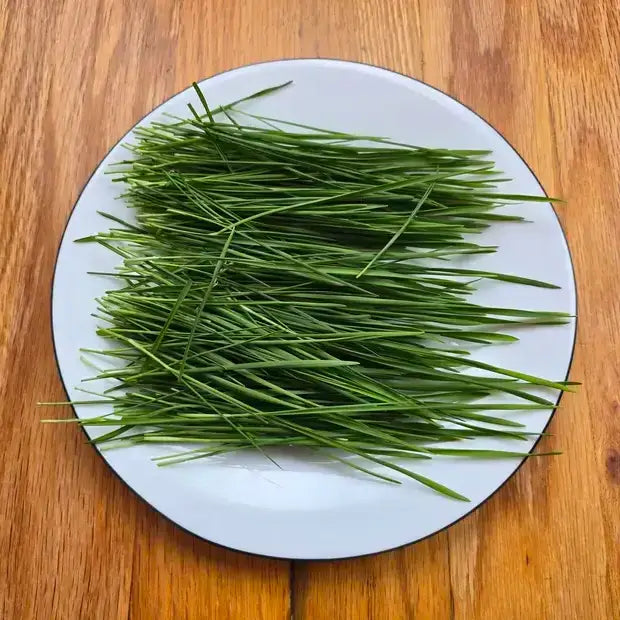 Aquager Technologies Wheatgrass product image 2