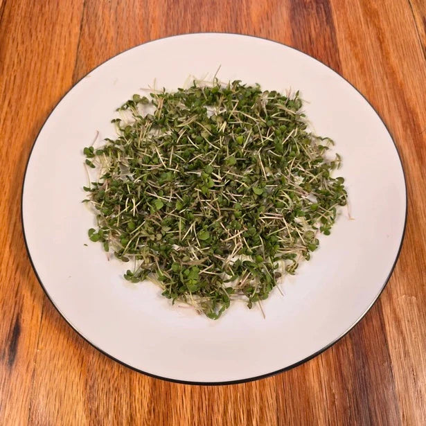 Aquager Technologies Basil (Lemon)