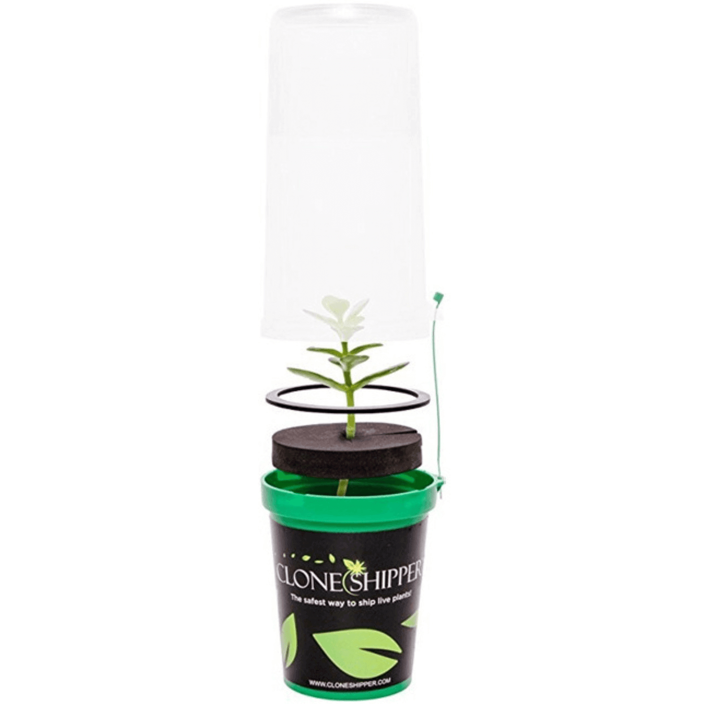 Clone Shipper 3.0 plant packaging with LED light and opaque lid for safe plant transport.