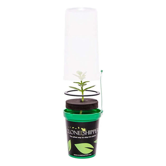 Clone Shipper Plant Packaging Planting & Watering product image 1