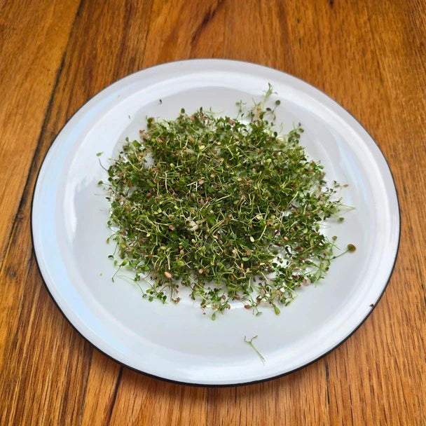 Aquager Technologies Clover