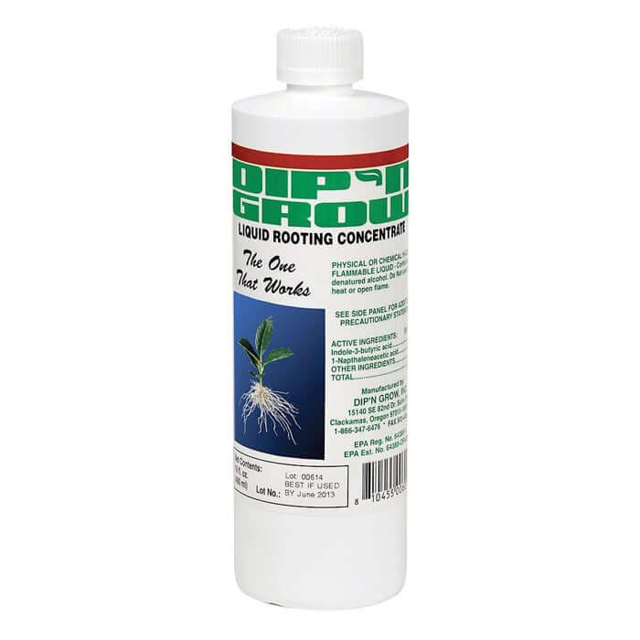Dip 'N Grow 'N Grow Liquid Rooting Concentrate - 16oz product image 1