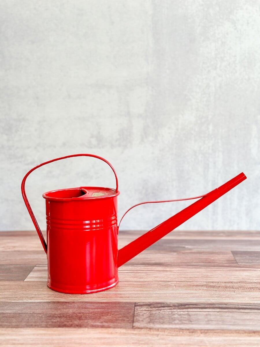 PLINT A/S 1.5 Liter Watering Can With Long Reach Spout