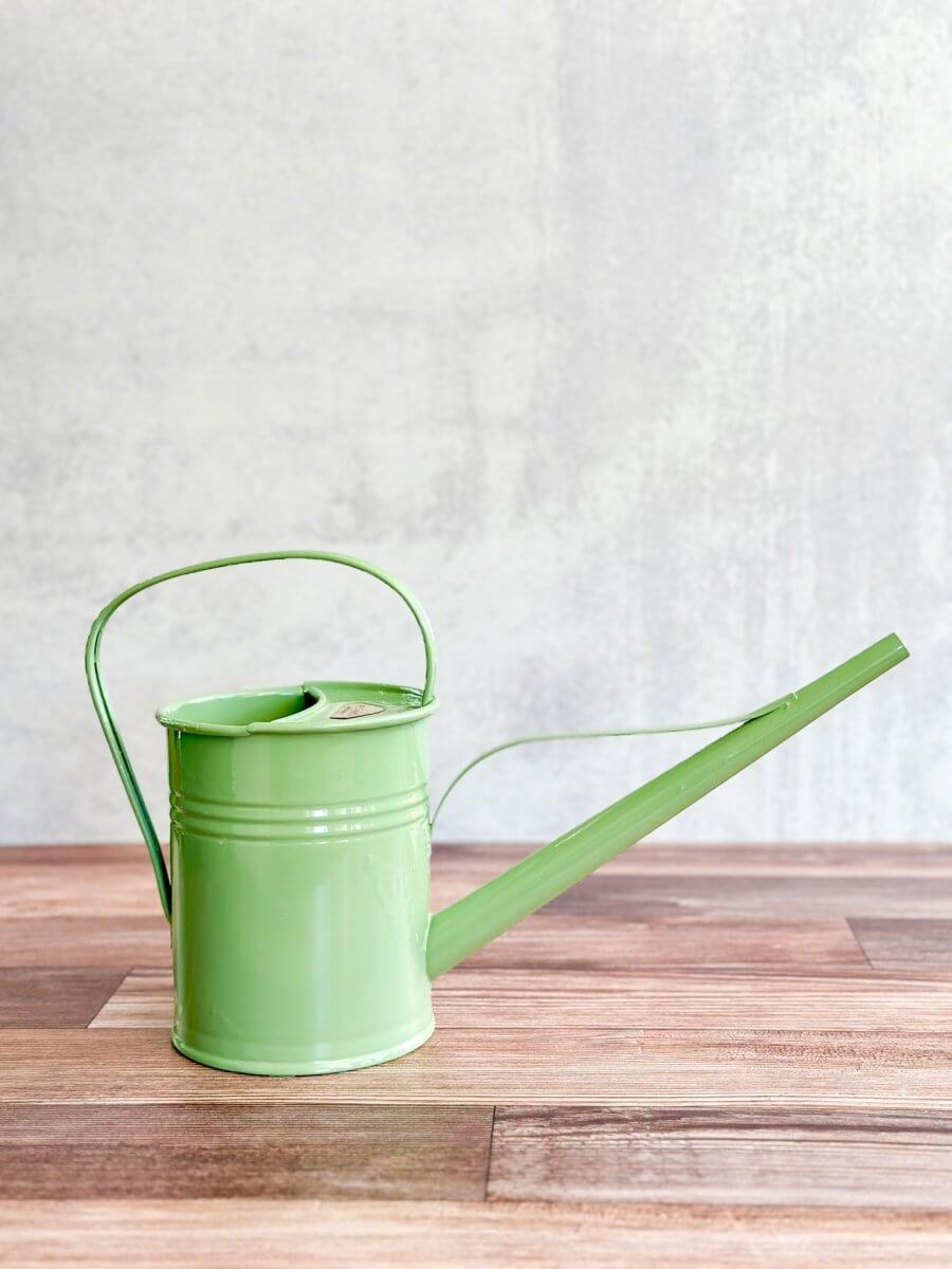 PLINT A/S 1.5 Liter Watering Can With Long Reach Spout