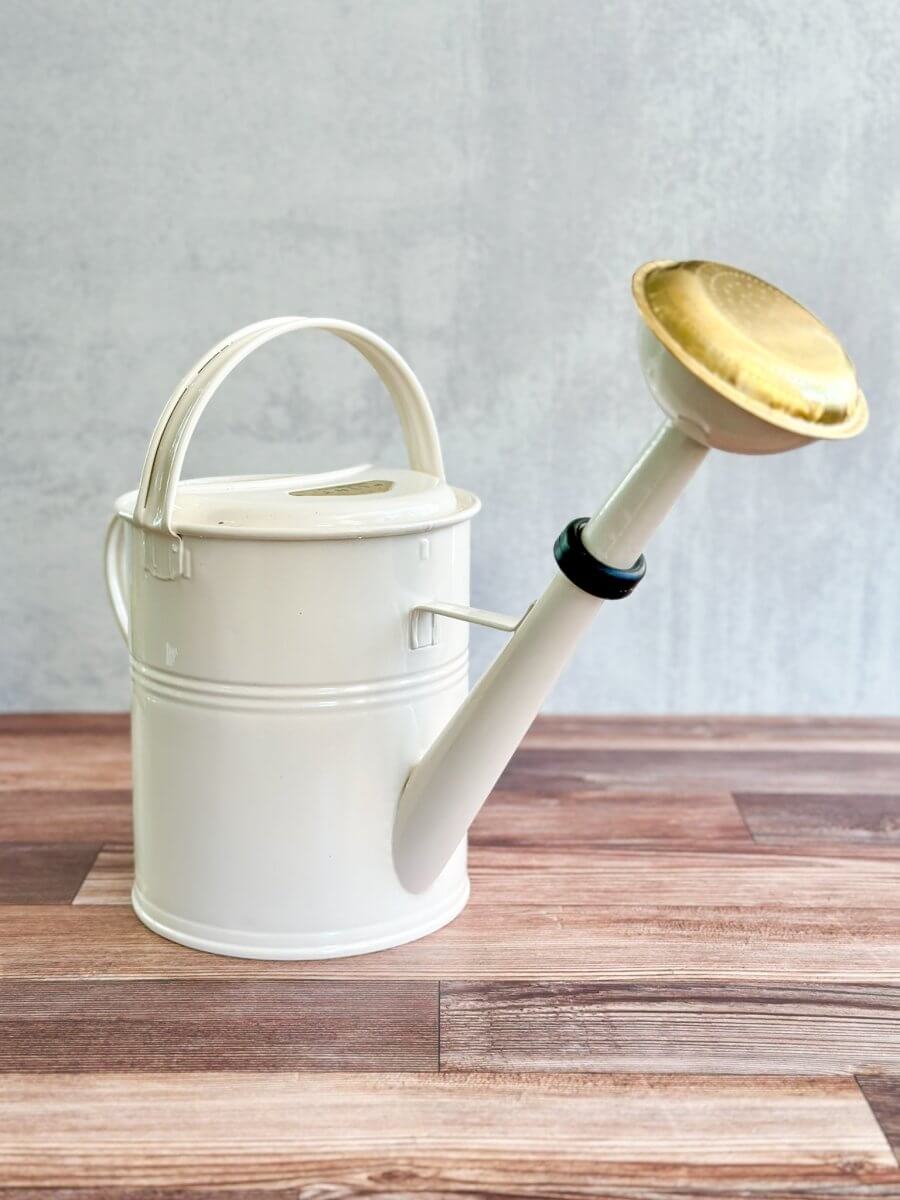 PLINT A/S 5 Liter Watering Can with Removable Sprinkler Head