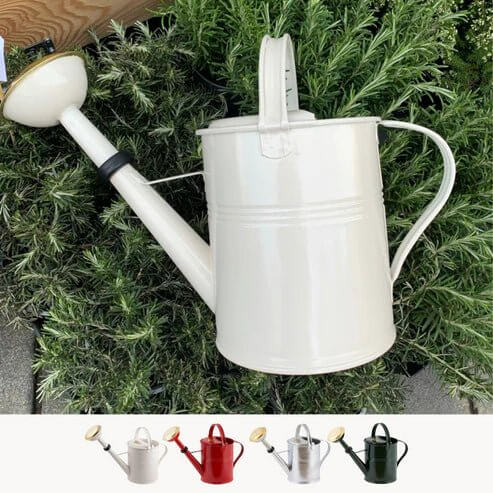 PLINT A/S 5 Liter Watering Can with Removable Sprinkler Head