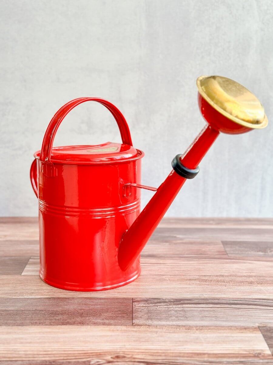 PLINT A/S 5 Liter Watering Can with Removable Sprinkler Head