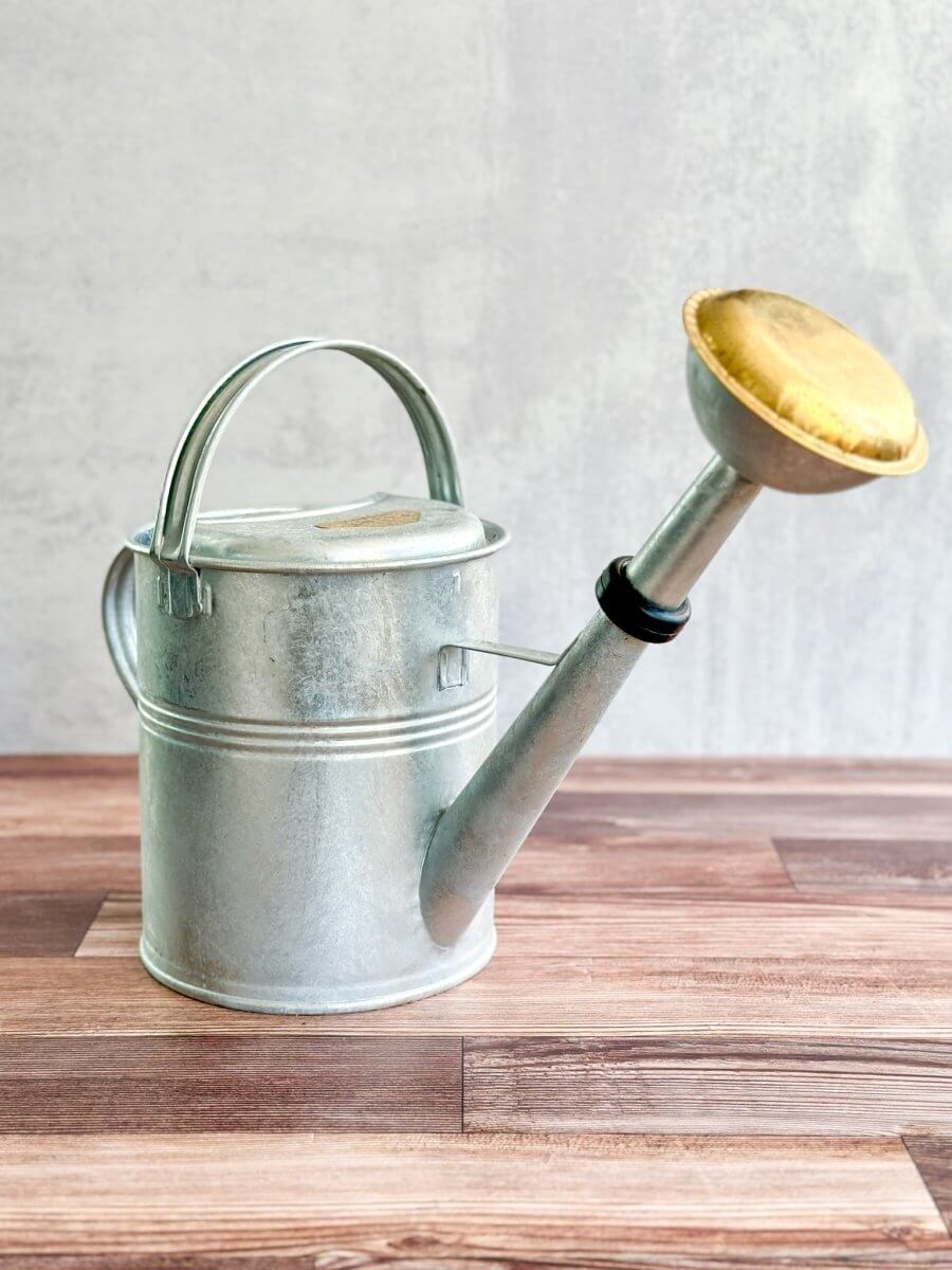 PLINT A/S 5 Liter Watering Can with Removable Sprinkler Head