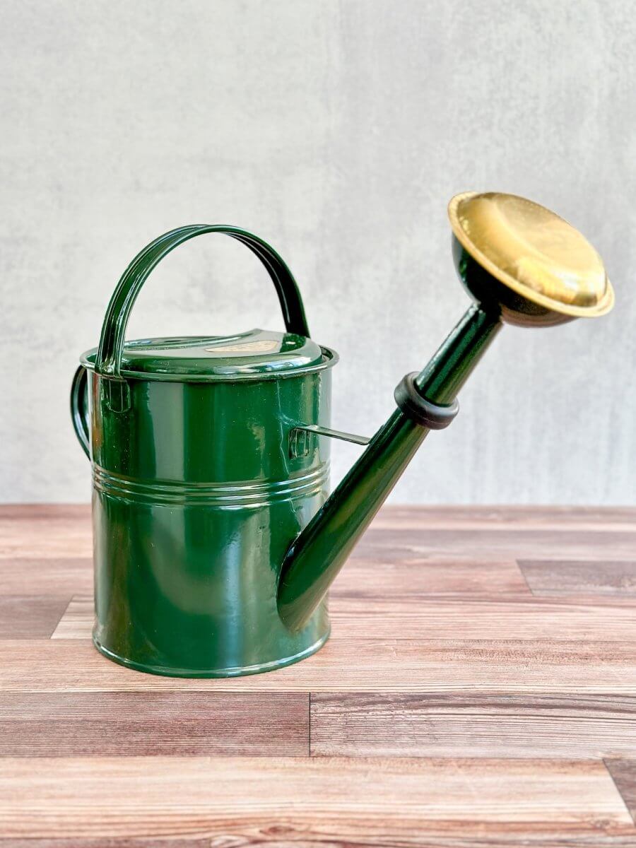 PLINT A/S 5 Liter Watering Can with Removable Sprinkler Head