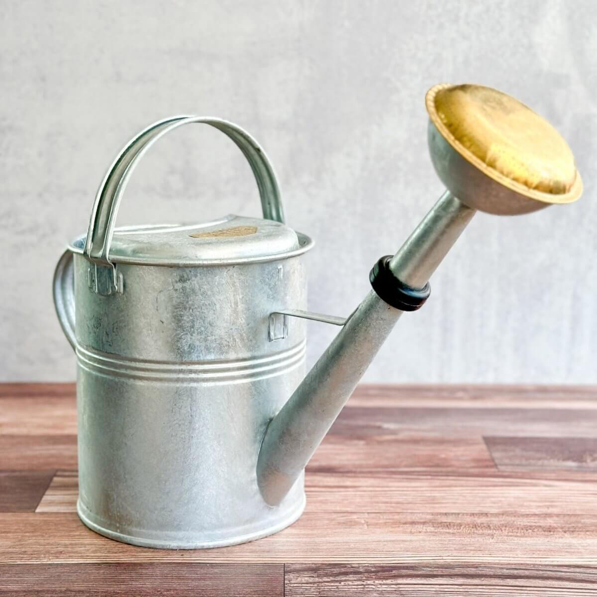 PLINT A/S 9 Liter Watering Can with Removable Sprinkler Head