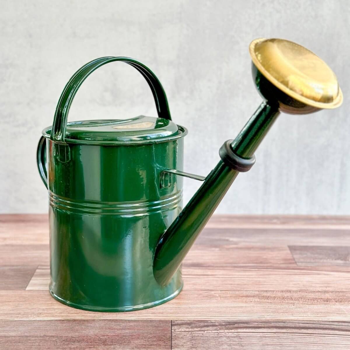 PLINT A/S 9 Liter Watering Can with Removable Sprinkler Head