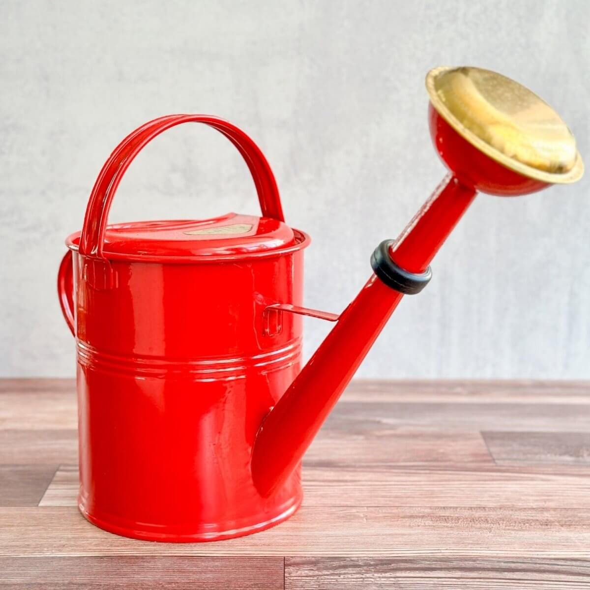 PLINT A/S 9 Liter Watering Can with Removable Sprinkler Head