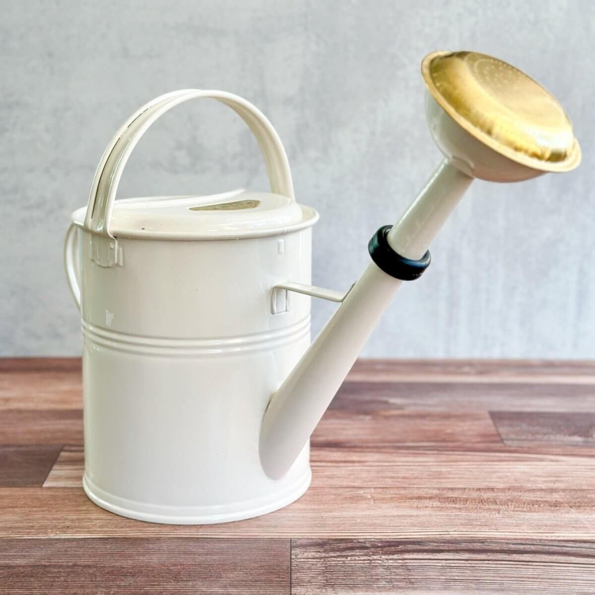 PLINT A/S 9 Liter Watering Can with Removable Sprinkler Head