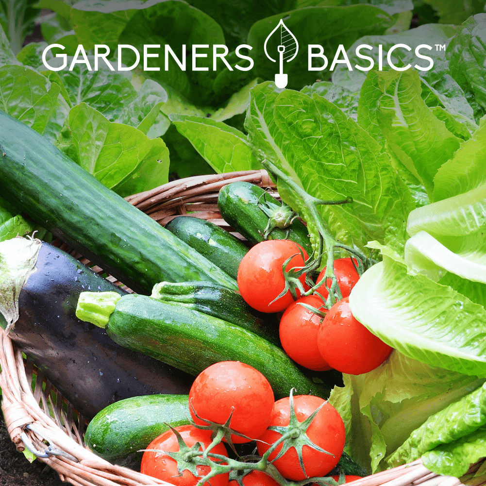 Gardeners Basics Seed Safe Survival Seed Kit - 35 Variety Pack product image 9