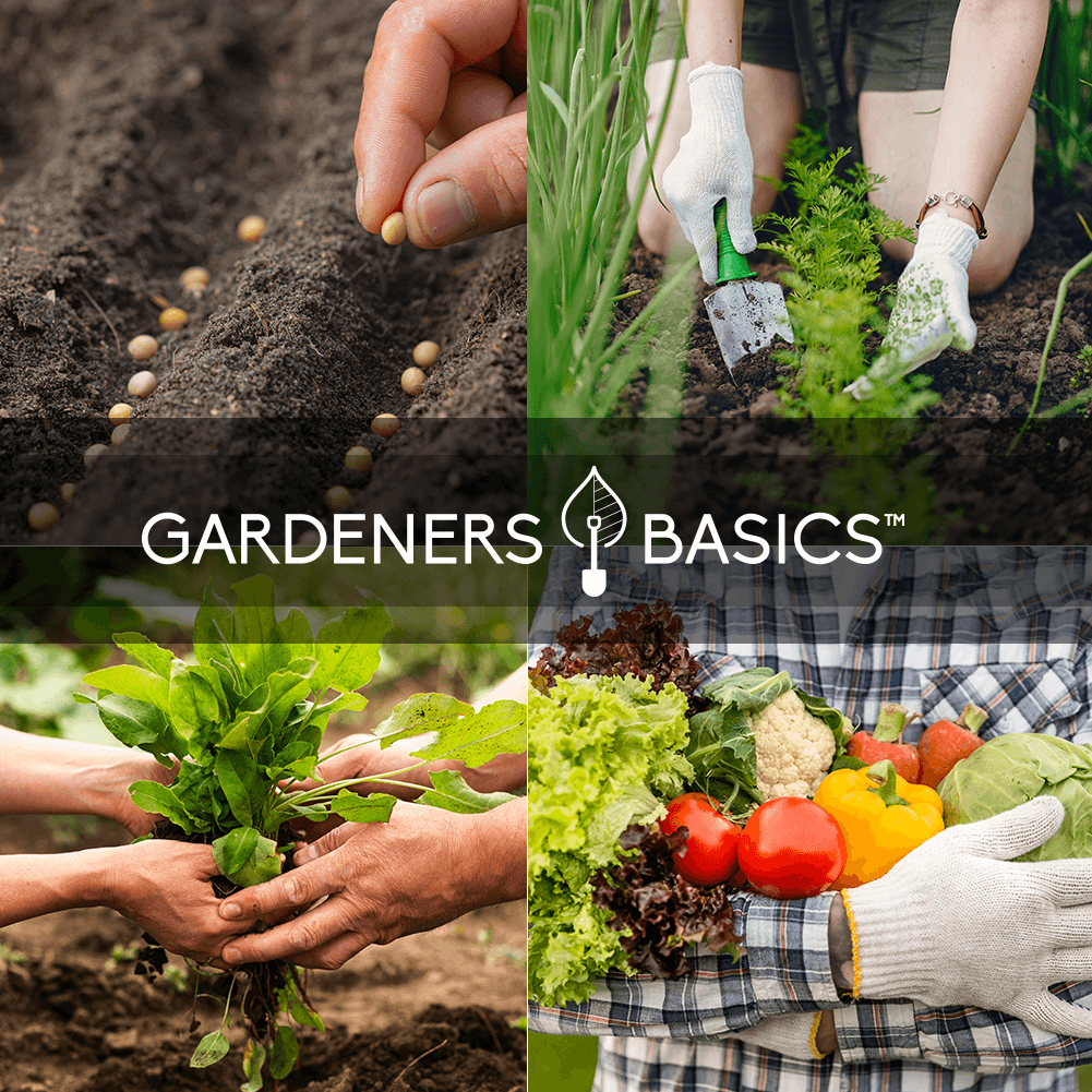 Gardeners Basics Vegetable Seed Vault Kit | 35 Variety Pack product image 6