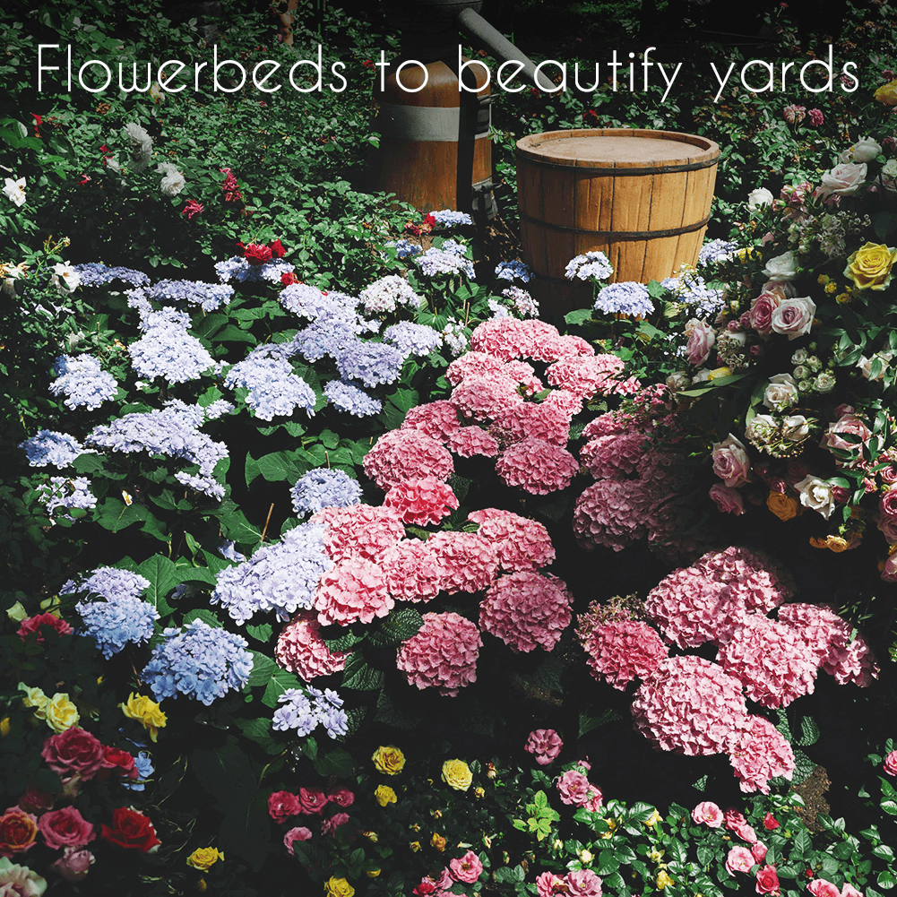 Gardeners Basics Wildflower Perennial & Annual Flower Seed Kit | 35 product image 6