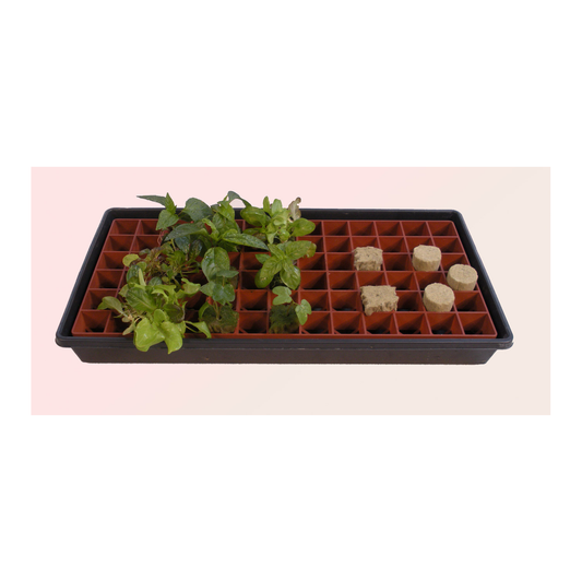 Grodan Gro-Smart Tray 78-Cell Terracotta product image 1