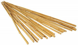 GROW!T 6' Bamboo Stakes Natural pack of 25 product image 4