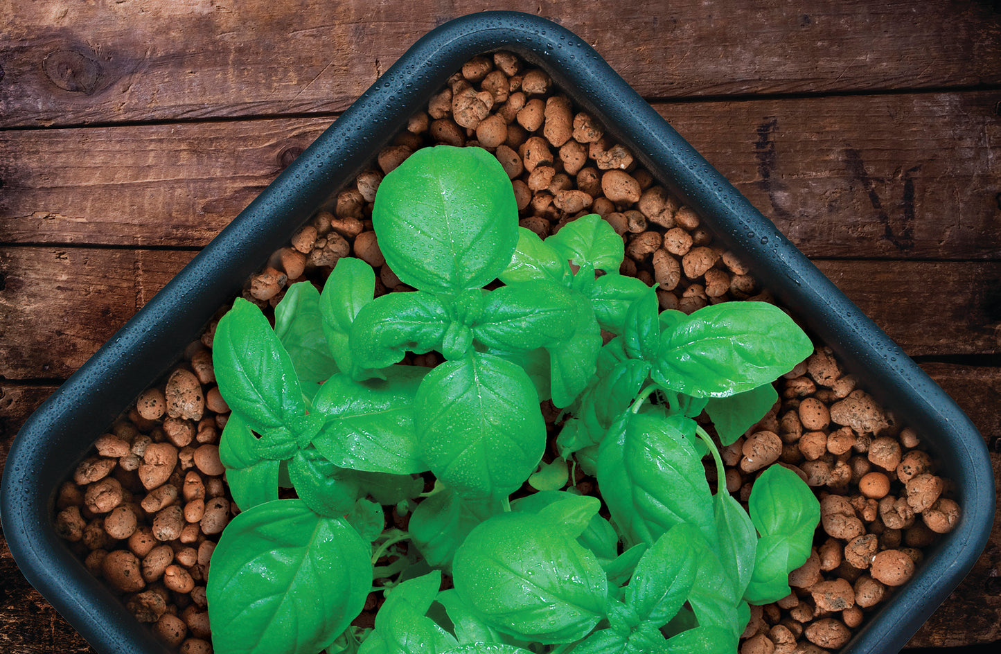 GROW!T Clay Pebbles 10 L Growing Media product image 2