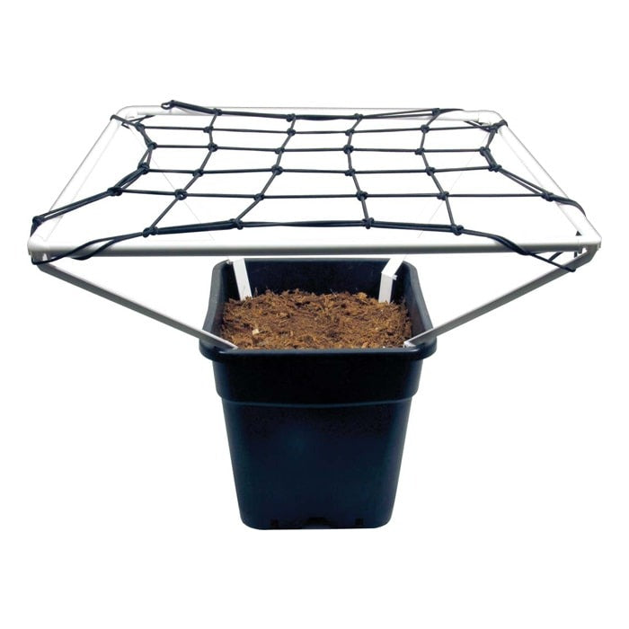 GROW1 SCROG KIT PRO 20" INCH Grow1 / Grow1 Scrog Kit product image 1