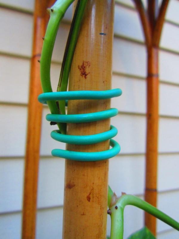 Hydrofarm Garden Soft Tie Garden Accessories product image 2