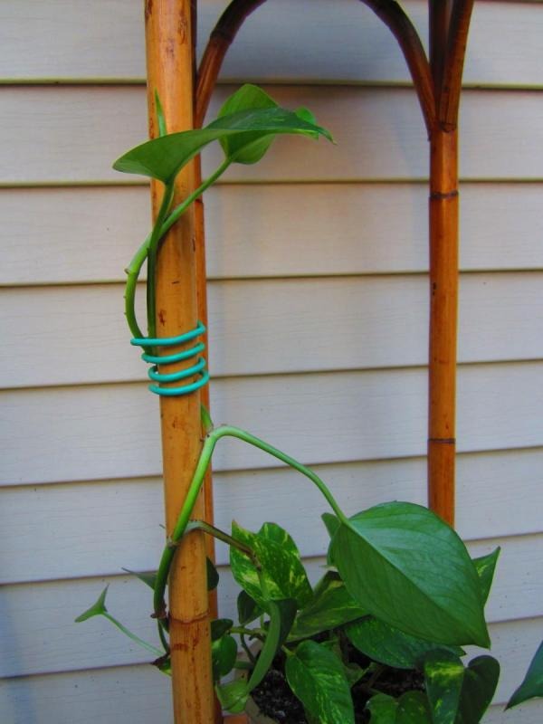 Hydrofarm Garden Soft Tie Garden Accessories product image 3
