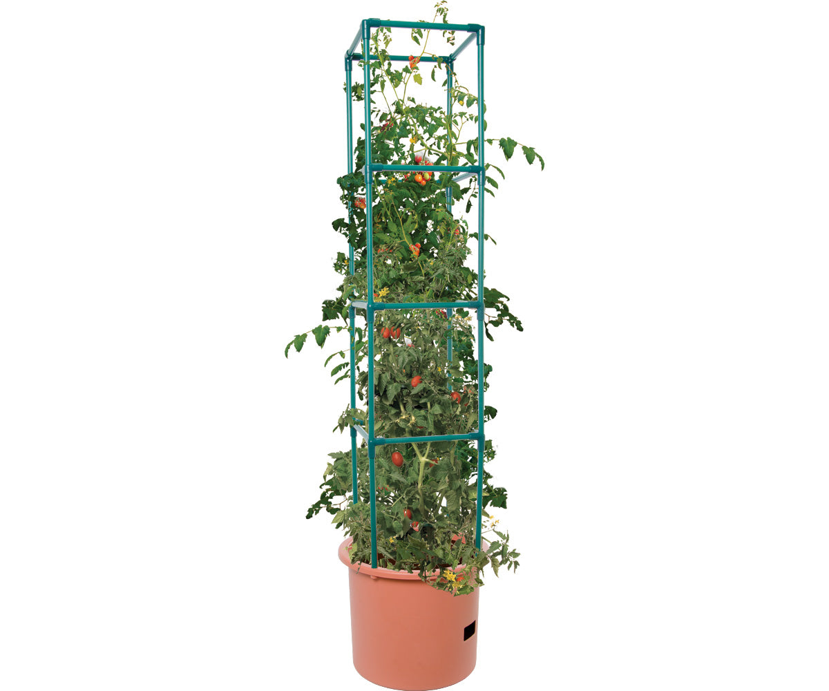 Hydrofarm Heavy Duty Tomato Barrel w/Tower product image 1