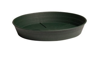 Hydrofarm Premium Green Saucer 6" pack of 25 product image 3