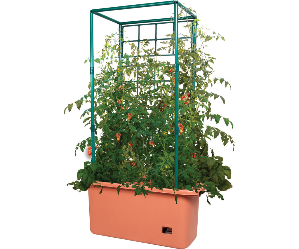 Hydrofarm Tomato Trellis Garden on Wheels product image 1