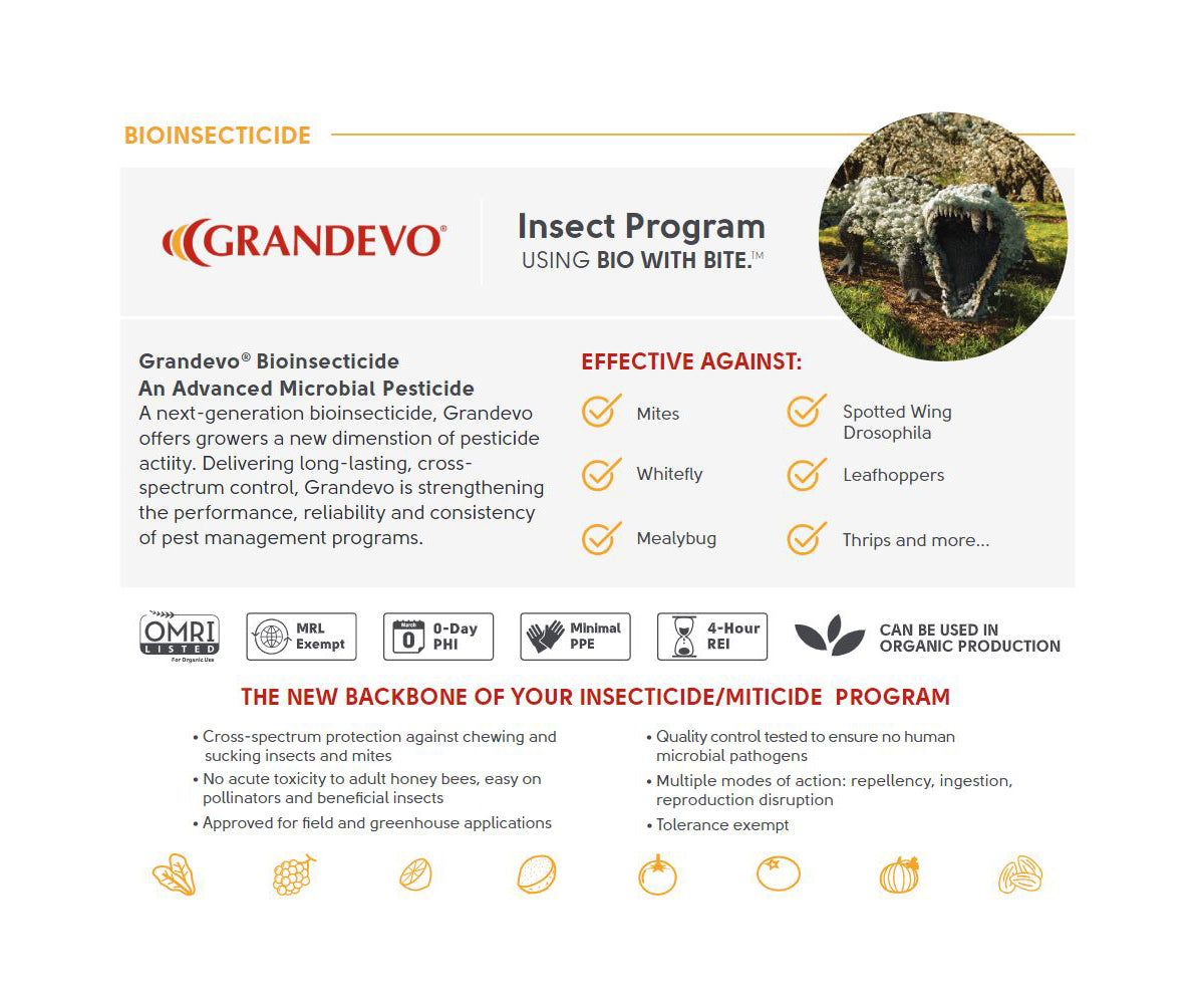 Marrone Bio Grandevo CG&reg; Bioinsecticide 10 lb product image 1