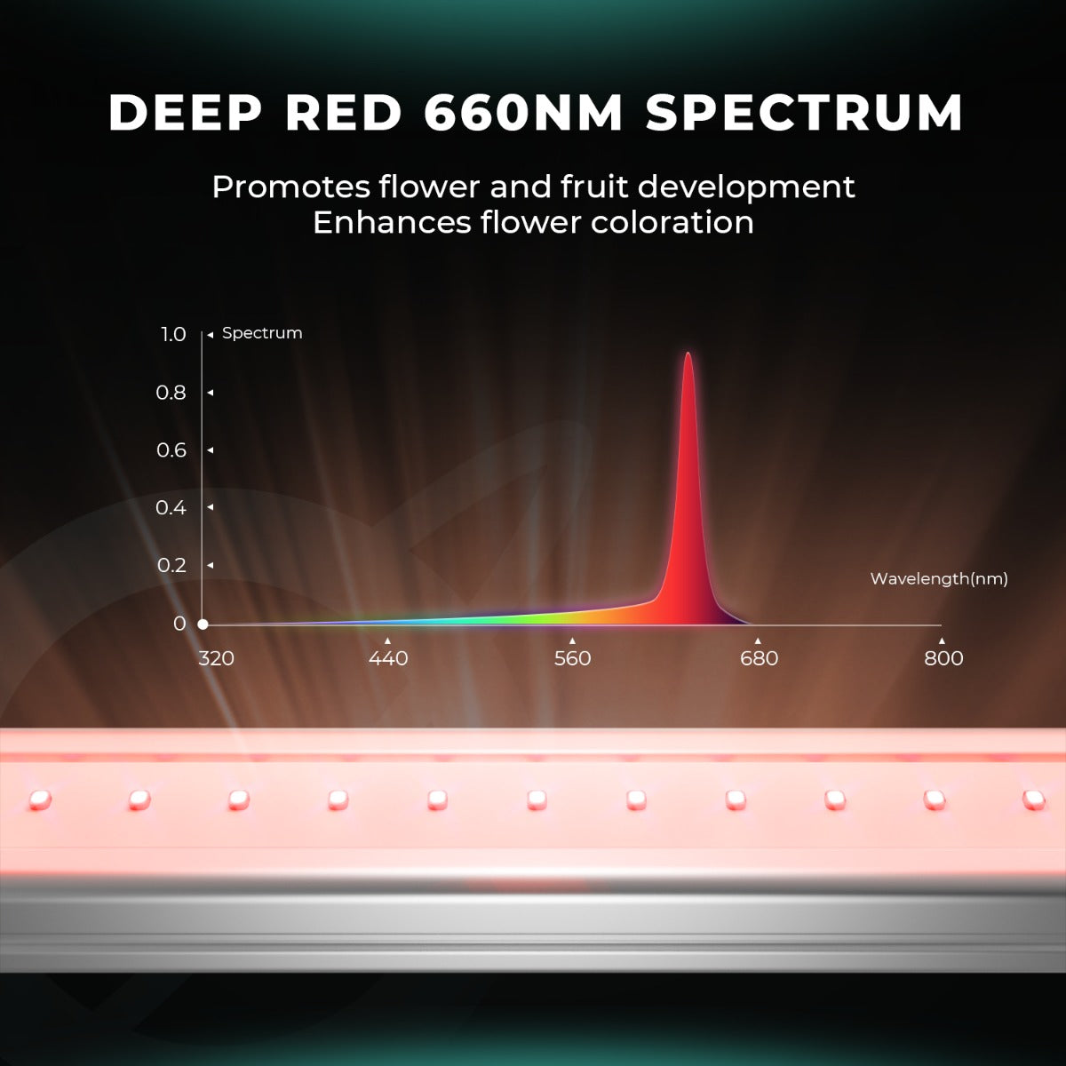 Mars Hydro ADlite Deep Red 15W + Blue 15W Supplemental LED Grow Light product image 14