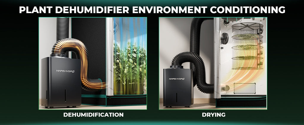 Mars Hydro 18L/Day 38-Pint Compressor Dehumidifier for Grow Tents product image 6