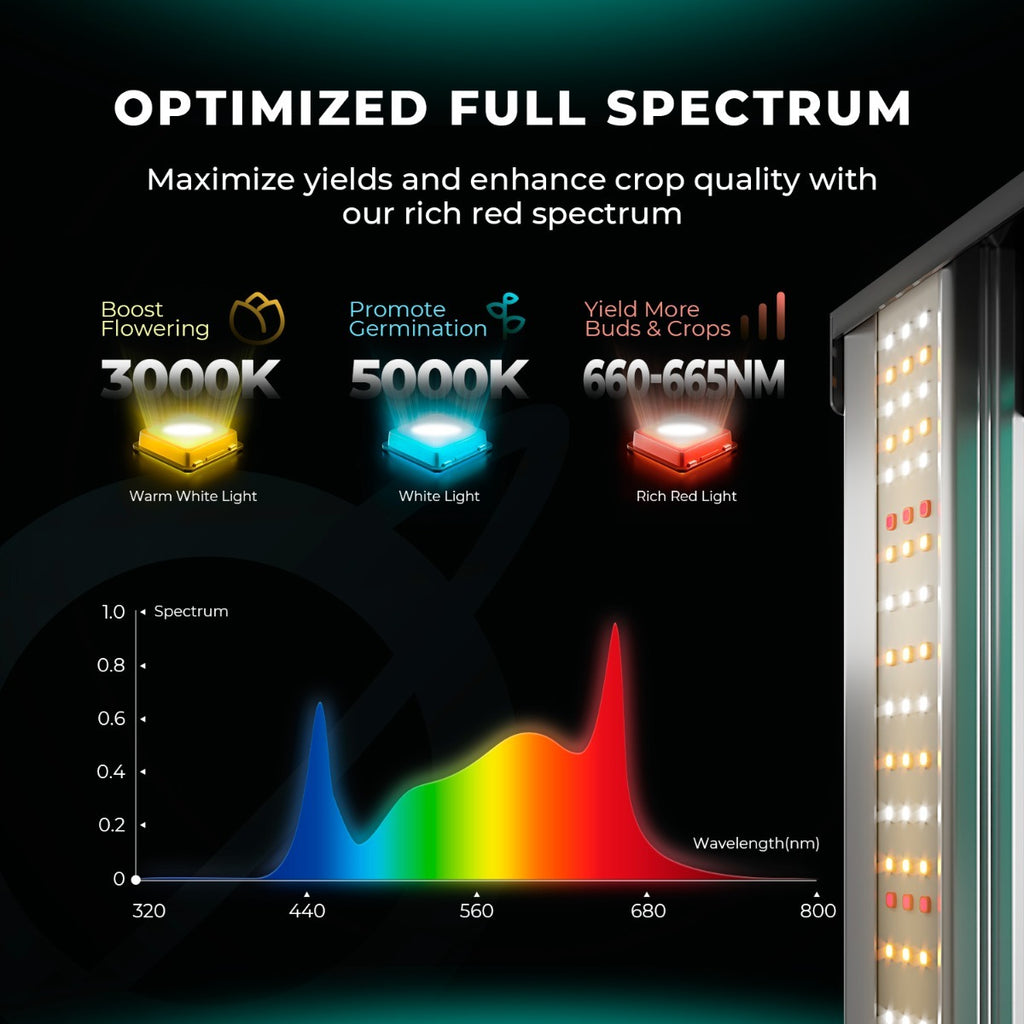Mars Hydro FC4000 320W Bridgelux 3030 & OSRAM LED Grow Light product image 10
