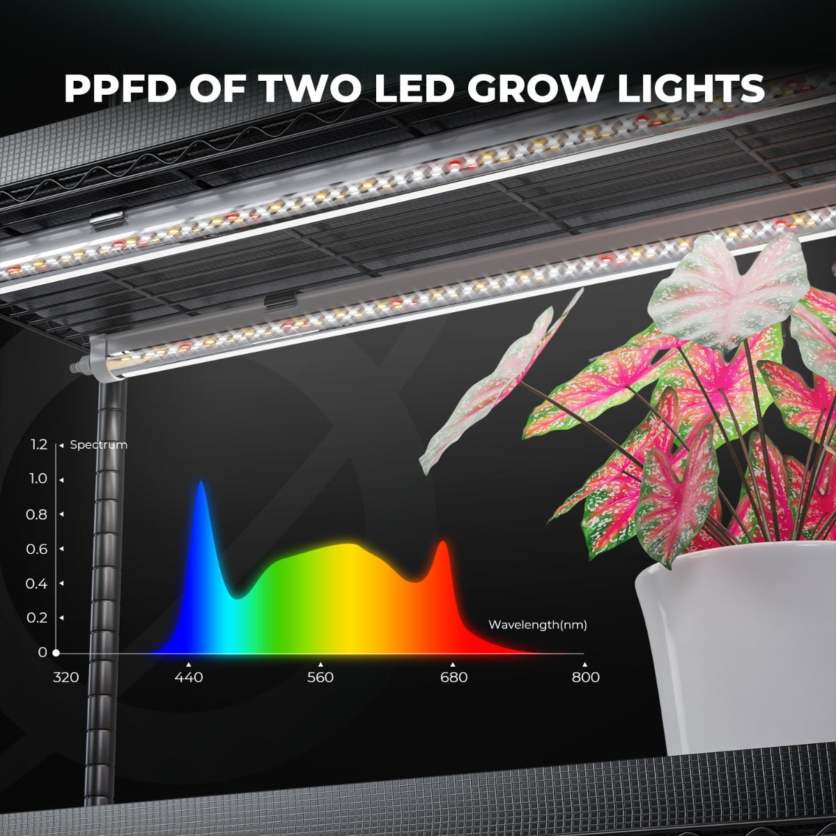 Mars Hydro MH Plantstand M MH-PlantStand-M product image 3