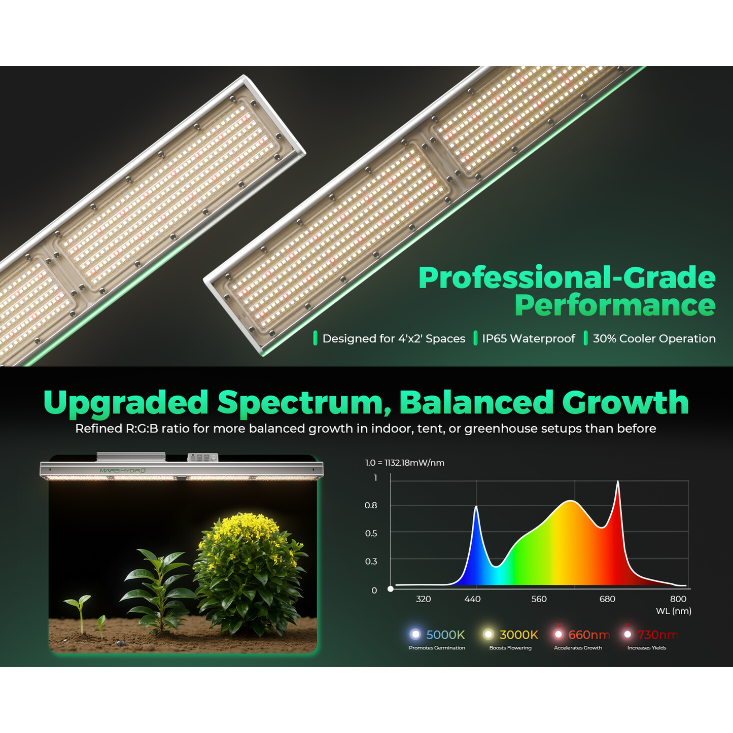 Mars Hydro SP 3000 300W Full Spectrum Grow Room LED Grow Light product image 11
